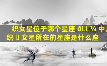织女星位于哪个星座 🌼 中,织 ☘ 女星所在的星座是什么座